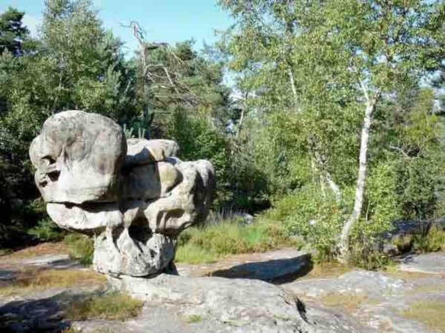 La Pause Allongee - Fontainebleau Hypercentre Εξωτερικό φωτογραφία